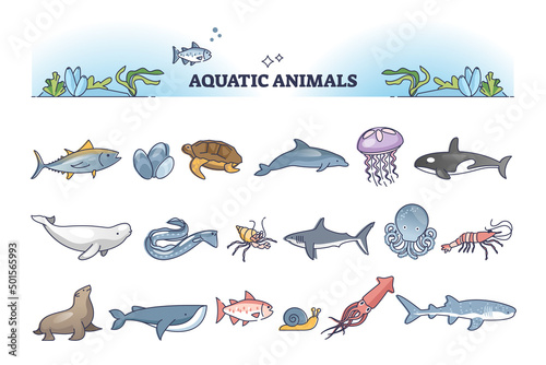 Aquatic animals collection with sea and ocean wildlife outline items set Fototapet