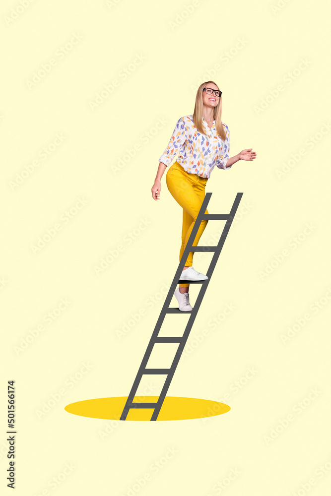 Photo collage of successful business lady go up draw ladder top manager ...
