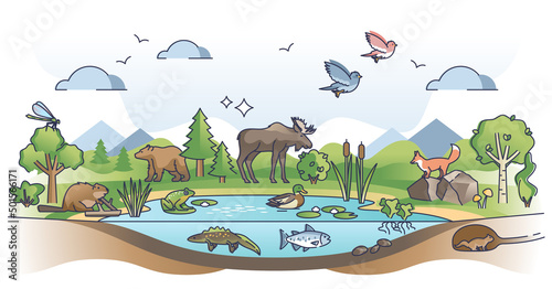 Ecosystem as nature habitat for living organisms and animals outline concept. Ecological environment with various species and sustainable biosphere vector illustration. Wildlife vegetation scene.