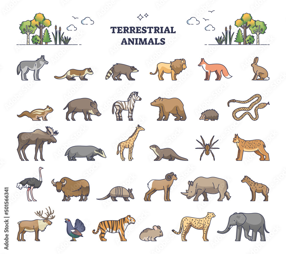 Terrestrial animals group as living species on land outline collection set.  Wildlife mammals, reptiles and birds isolated list for geographical area  and region vector illustration. Zoo biodiversity. Stock Vector | Adobe Stock