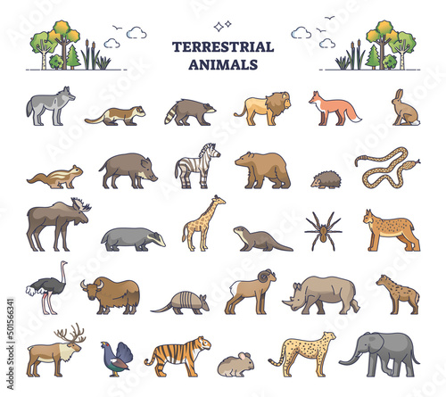 Terrestrial animals group as living species on land outline collection set. Wildlife mammals, reptiles and birds isolated list for geographical area and region vector illustration. Zoo biodiversity.