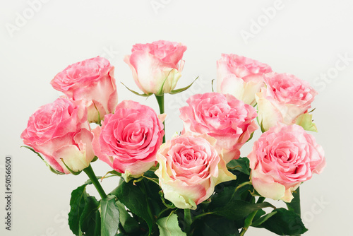 Delicate pink rose flowers in bouquet, close up.