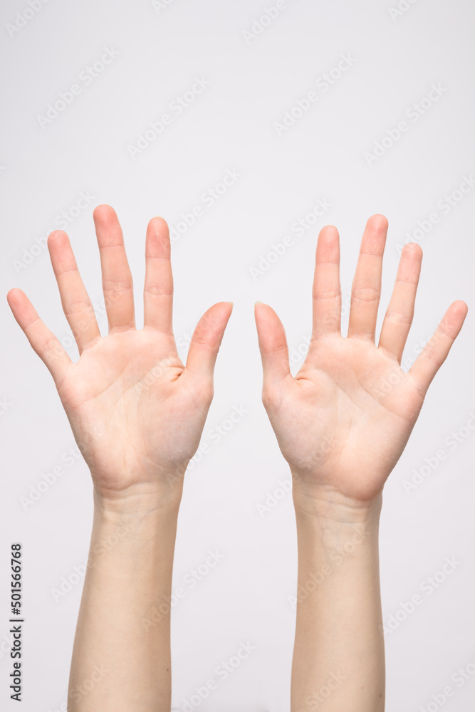 Weibliche zierliche Hände und Finger Weibliche zierliche Hände und Finger