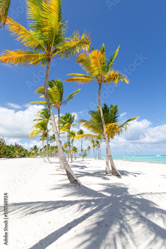 Juanillo beach, Dominican Republic. Luxury travel destination