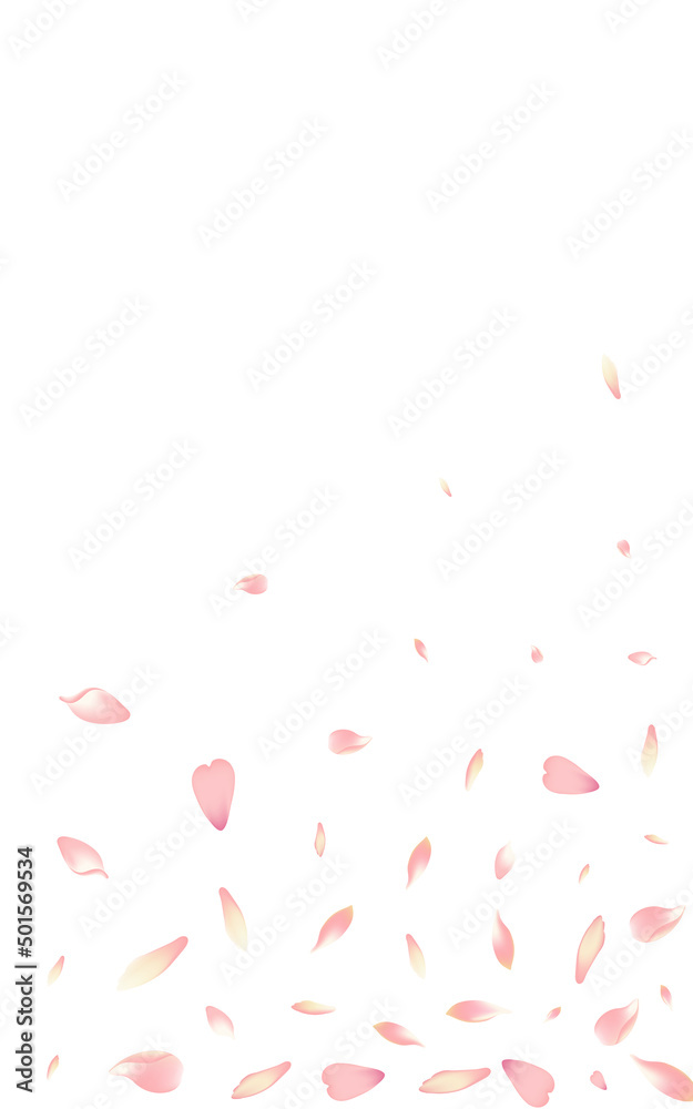 White Lotus Petal Vector White Background. Color