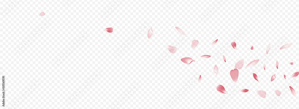 Color Rose Vector Panoramic Transparent - obrazy, fototapety, plakaty 