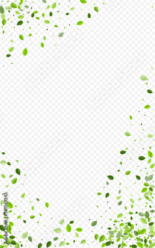 Forest Leaf Abstract Vector Transparent
