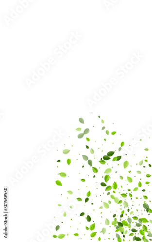 Olive Greens Motion Vector White Background.