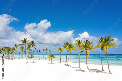 Juanillo beach with palm trees, white sand and turquoise caribbean sea. Cap Cana is a tourist area in Dominican Republic. Aerial view