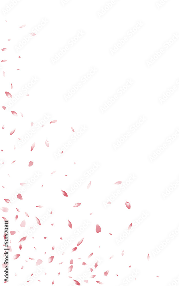 Red Peach Beauty Vector White Background. Falling