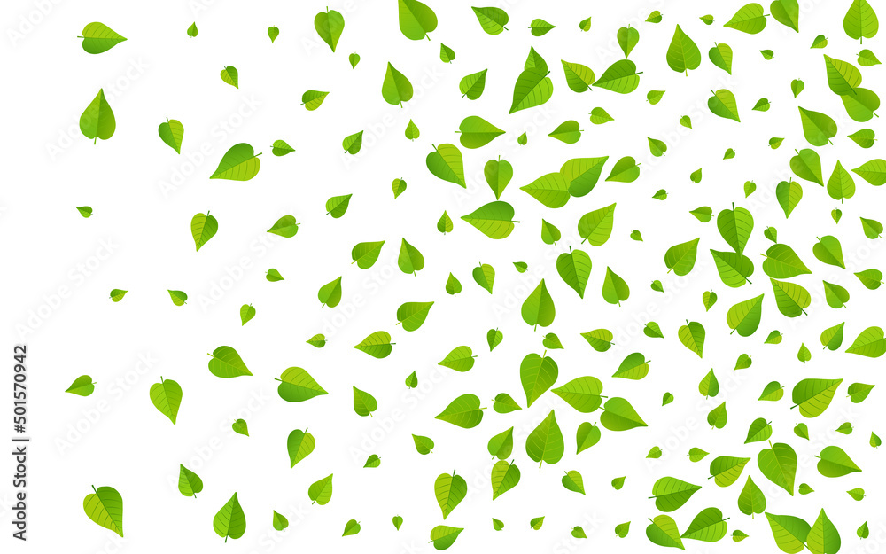 Swamp Leaves Swirl Vector White Background Swamp Leaves Swirl Vector White Background