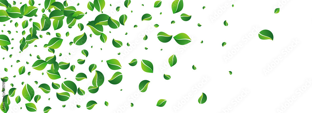Green Foliage Flying Vector Panoramic White