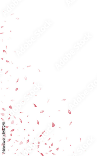 Red Peach Beauty Vector White Background. Falling