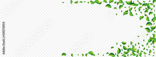 Green Leaves Forest Vector Panoramic Transparent