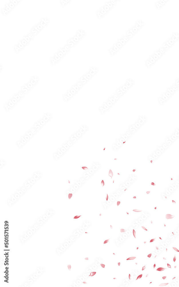 Red Petal Falling Vector White Background. Flying Red Petal Falling Vector White Background. Flying