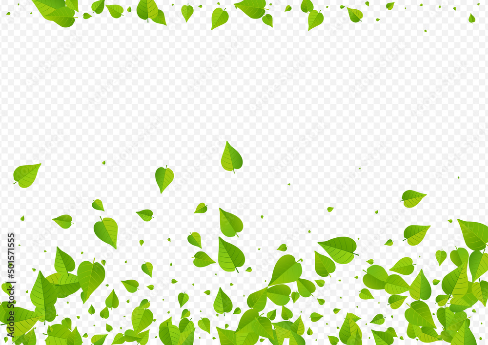 Swamp Foliage Transparent Vector Transparent Swamp Foliage Transparent Vector Transparent