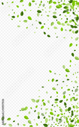 Forest Leaf Forest Vector Transparent Background.