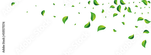 Swamp Greens Realistic Vector Panoramic White