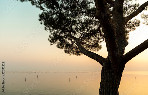 Obraz na płótnie coastline gulf of Trieste, Italy w salonie
