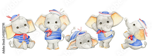 elephant, dressed as a sailor, watercolor animal in cartoon style, on an isolated background. photo