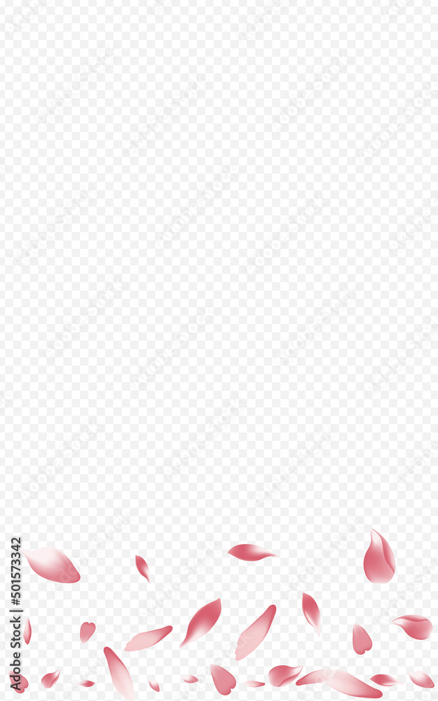 White Rosa Vector Transparent Background. White Rosa Vector Transparent Background.