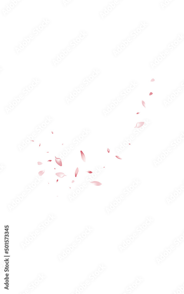 Delicate Lotus Japan Vector White Background.