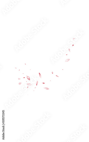 Delicate Lotus Japan Vector White Background.