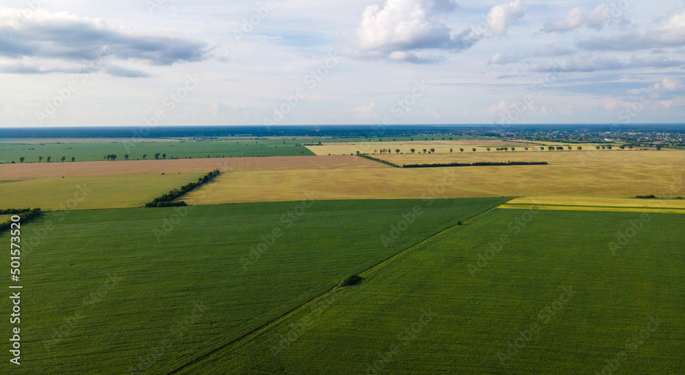 Ukrainian fields
