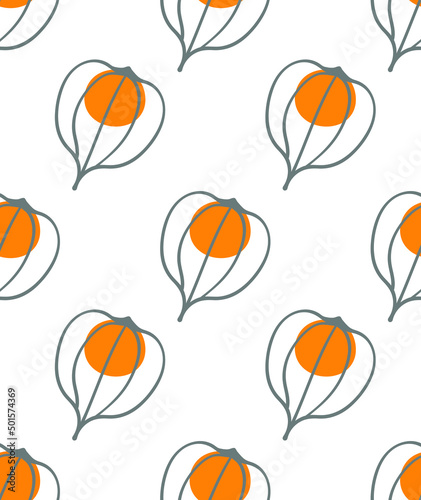 Fototapeta Naklejka Na Ścianę i Meble -  Physalis fruit on white background. Seamless pattern vector illustration. Summer design with fruits. Hand drew ink doodle style. Abstract berry.