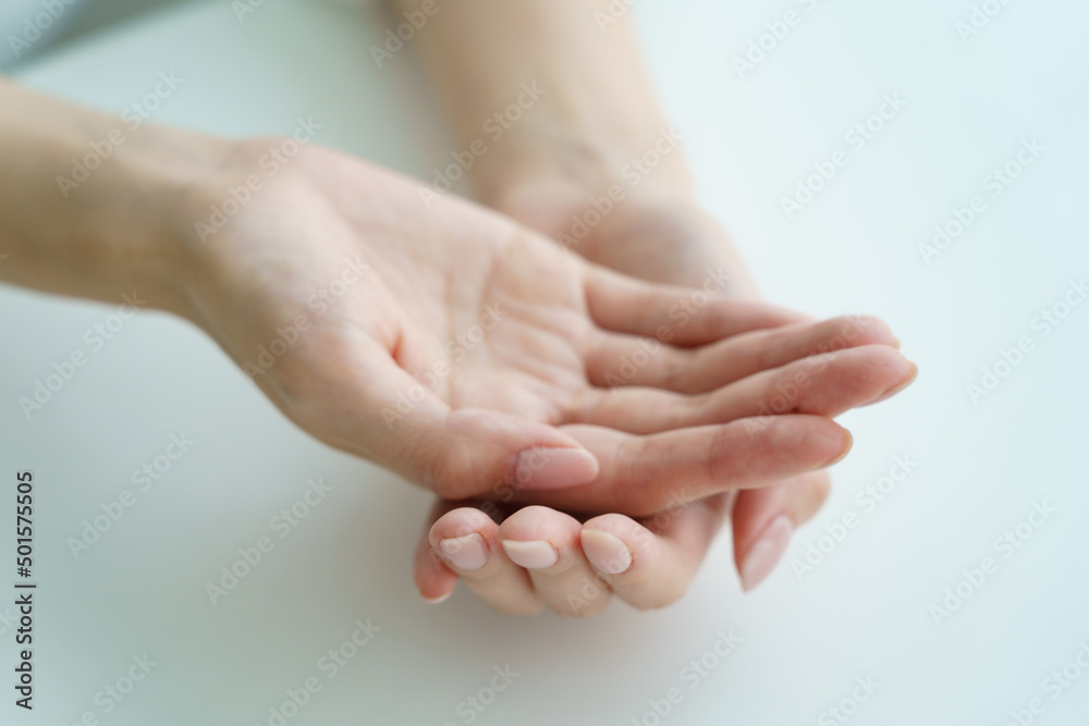 女性の手のひら 女性の手のひら