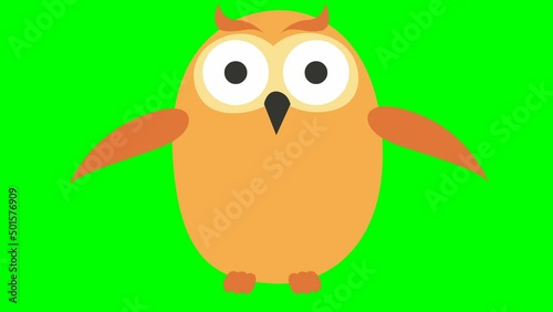 Wallpaper Mural Animated funny owl flies. Looped video. Vector illustration isolated on a green background. Torontodigital.ca