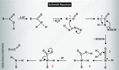 Reaction of carboxylic acids gives acyl azides, which rearrange to isocyanates, and these may be hydrolysed to carbamic acid or solvolyzed to carbamates. Decarboxylation leads to amines photo