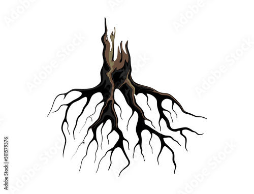 ancient roots of tree hand drawing vector illustration