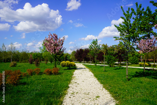 spring in the park, Mogosoaia Park, Bucharest City, Ilfov, Romania 