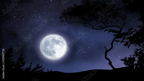  trees silhouette on front night  starry sky  and moon dramatic panorama nature weather forecast © Aleksandr