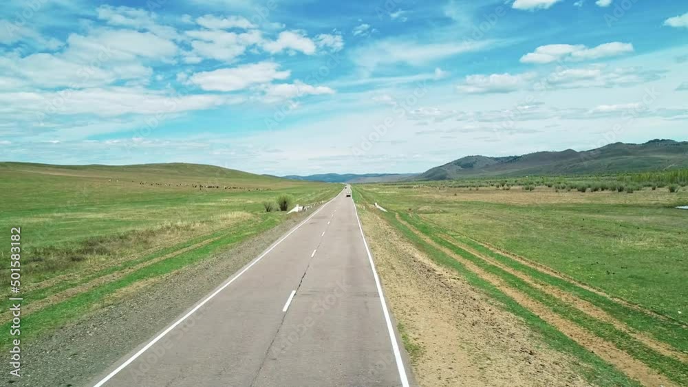 Aerial view of an asphalt road through the rural countryside area, road between green meadows. Herd of cows grazing in the meadow Aerial view of an asphalt road through the rural countryside area, road between green meadows. Herd of cows grazing in the meadow