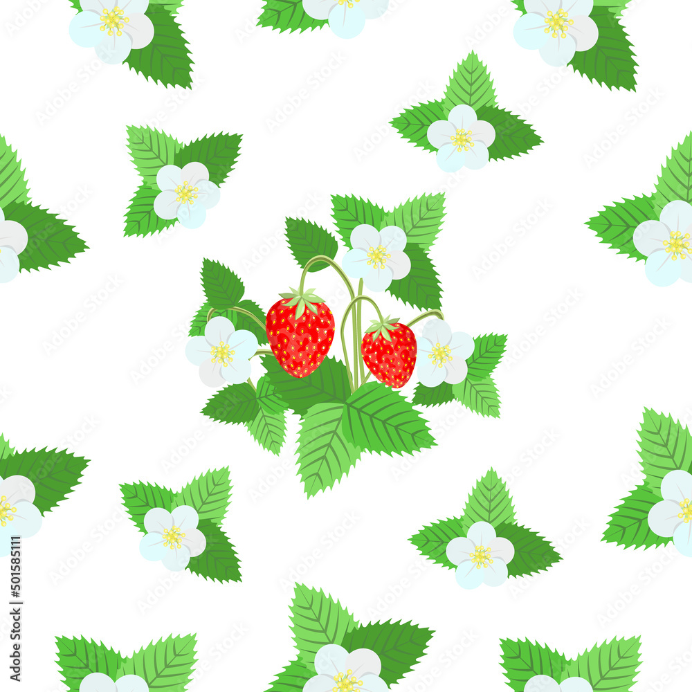 Cute seamless pattern of strawberry berries with leaves and flowers on a white background.Vector pattern for textiles.wrappers,paper,food packages,tea. Cute seamless pattern of strawberry berries with leaves and flowers on a white background.Vector pattern for textiles.wrappers,paper,food packages,tea.