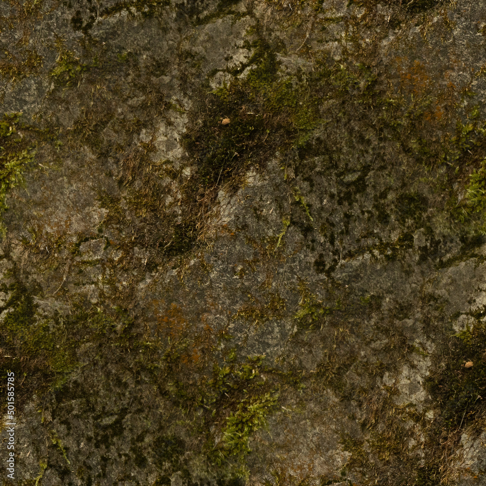 moss on stone, seamless forest textures. moss on stone, seamless forest textures.