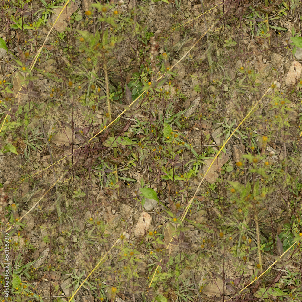 moss on the ground, seamless forest textures. moss on the ground, seamless forest textures.
