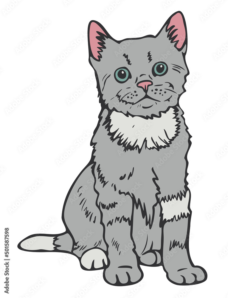 Obraz premium Vector illustration of kitten. Hand drawn cat colored and depicted by a line.