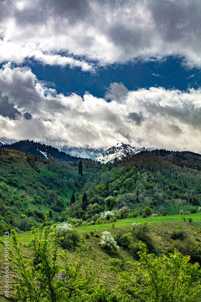 Fototapeta premium landscape with sky