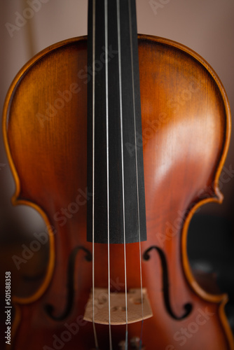 violin isolated. The violin up close