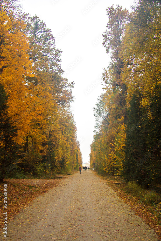 Shonbrunn Palace and park around it Vienna Austria
