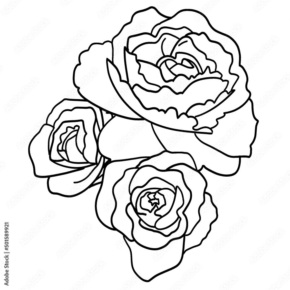 Raster illustration depicting peonies in a black and white line. Flowers buds of peonies for collage, tattoos, stickers, design.