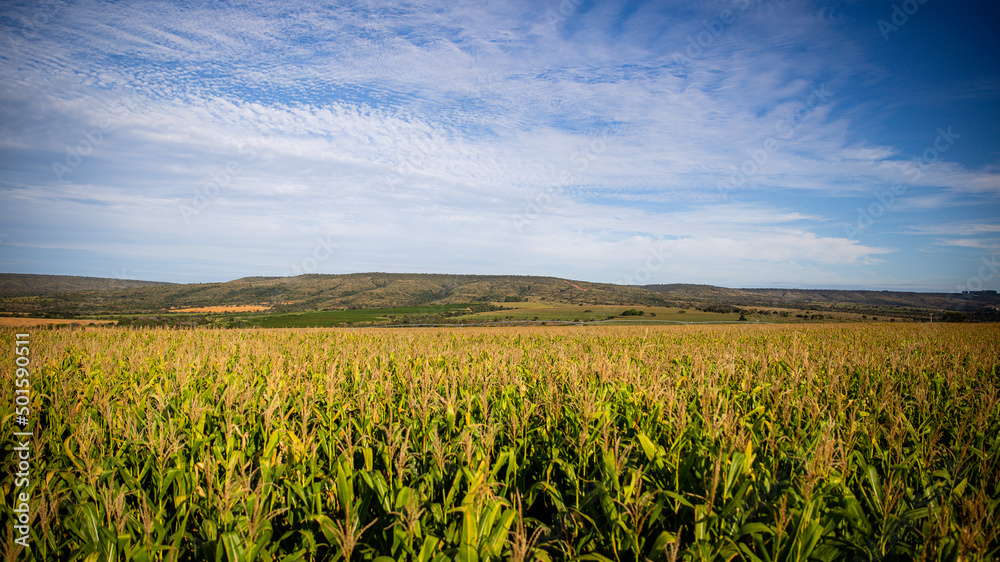 farm farm