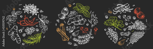Vector set of linear illustrations with spices and herbs, basil, parsley, coriander, rosemary, cinnamon, chili, pepper, thyme, turmeric, black pepper, ginger, oregano, cumin, poppy, anise, garlic, dil