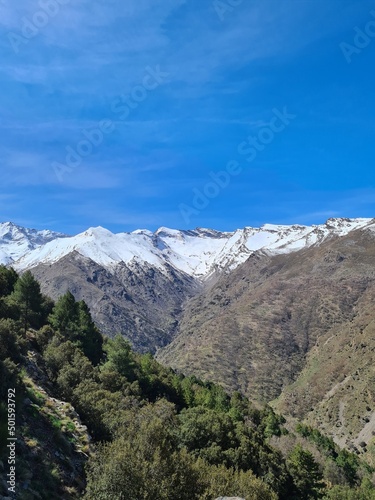 Paisaje de monta  a nevada en Sierra Nevada  Granada  Espa  a. 
