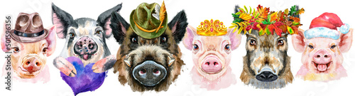 Fotografie, Obraz Border from pigs. Watercolor portraits of pigs and boars