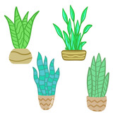 Set of Potted plant. Homemade Green leaves of houseplant. Gardening and botany. Brown pot and House decoration. Flat illustration