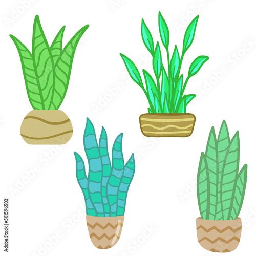 Set of Potted plant. Homemade Green leaves of houseplant. Gardening and botany. Brown pot and House decoration. Flat illustration